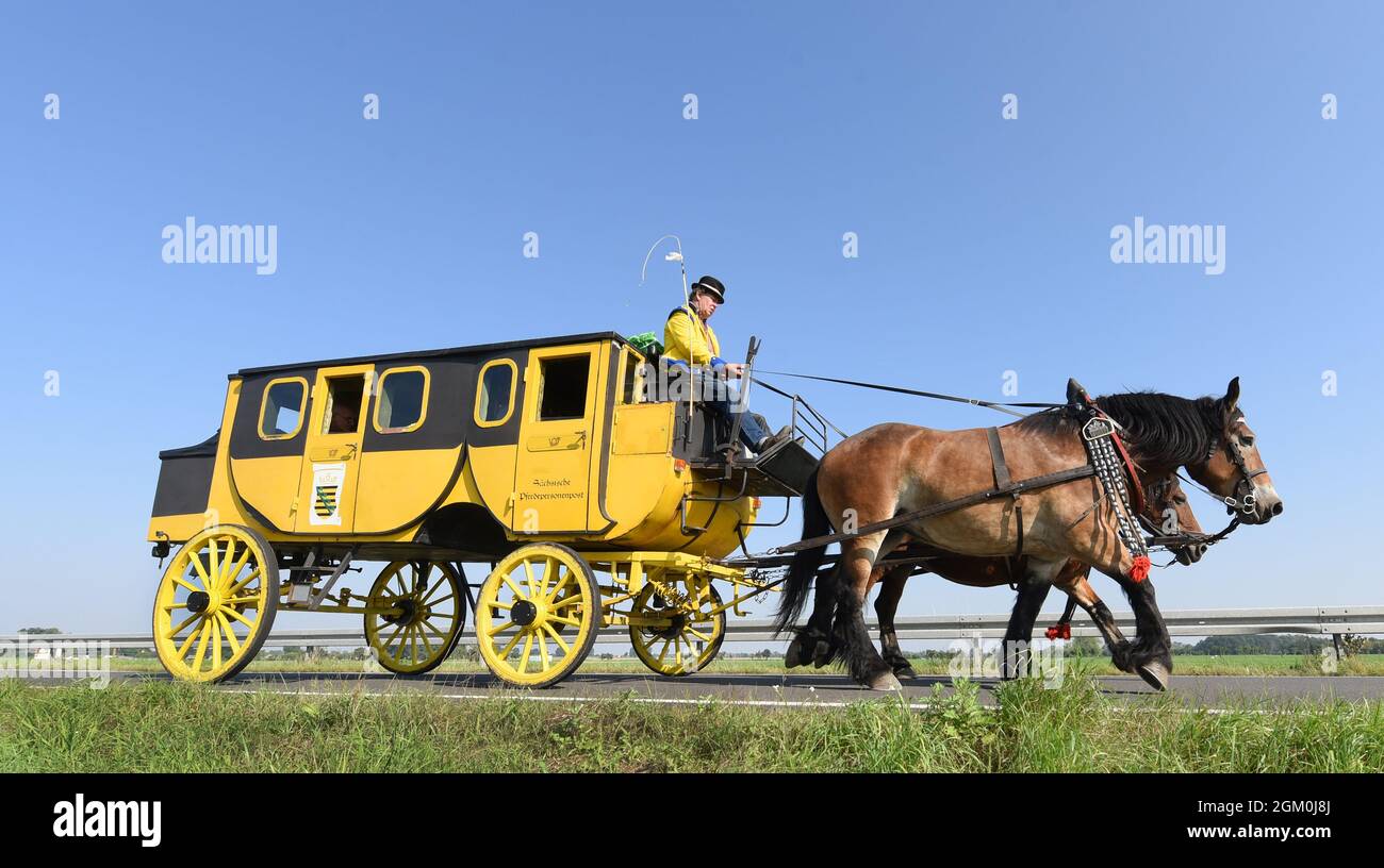 14 September 2021, Saxony, Leipzig: Coachman Siegfried Händler is driving  his historic stagecoach, on which one of nine fellow passengers has taken a  seat on the coach box next to him, along