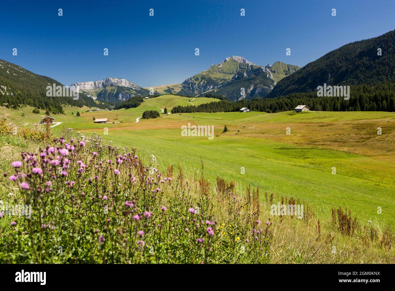 FRANCE HAUTE-SAVOIE (74) PETIT-BORNAND-LES-GLIERES, THE PLATEAU OF GLIERES Stock Photo