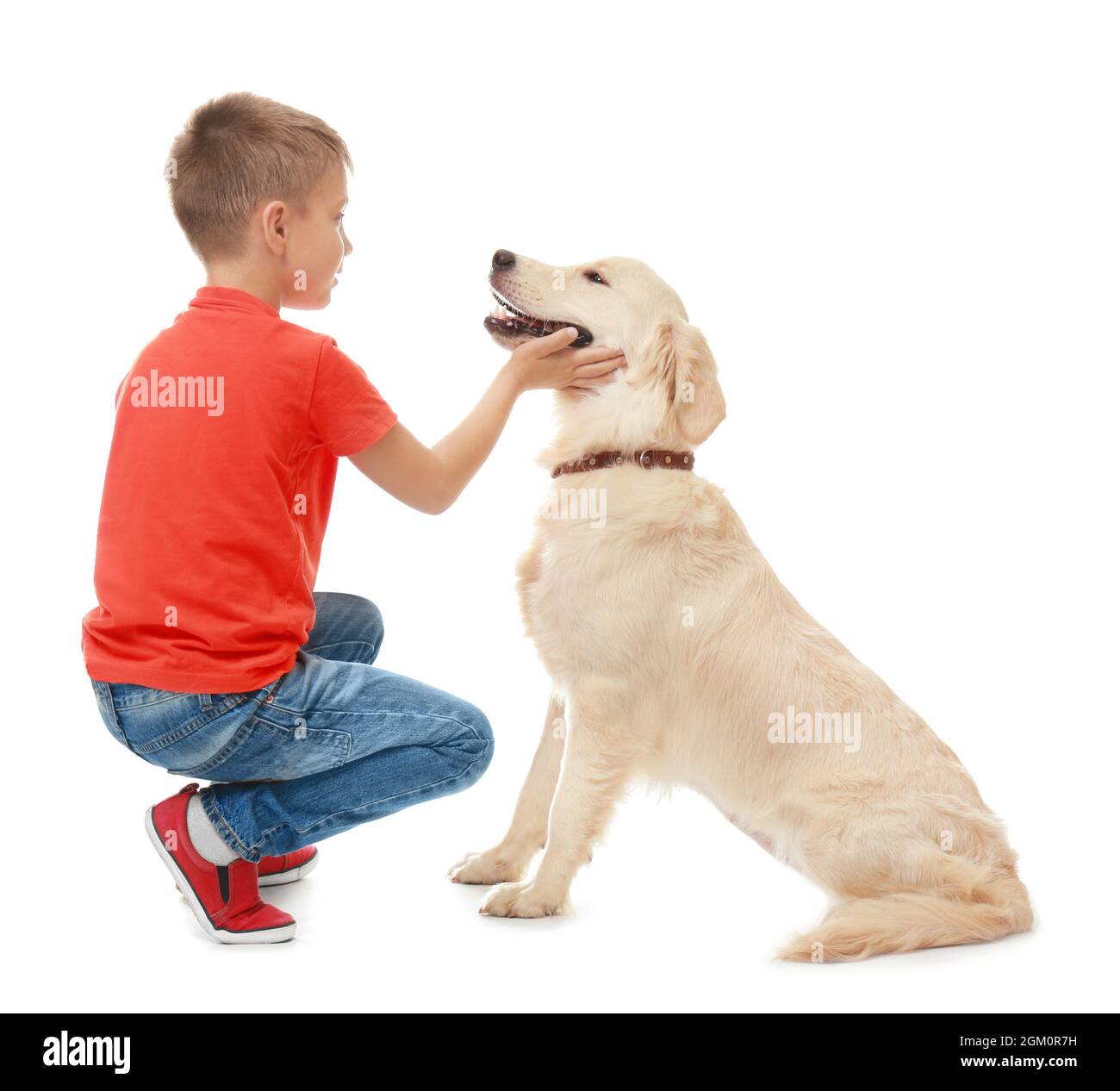 Cute little boy with dog on white background Stock Photo Alamy