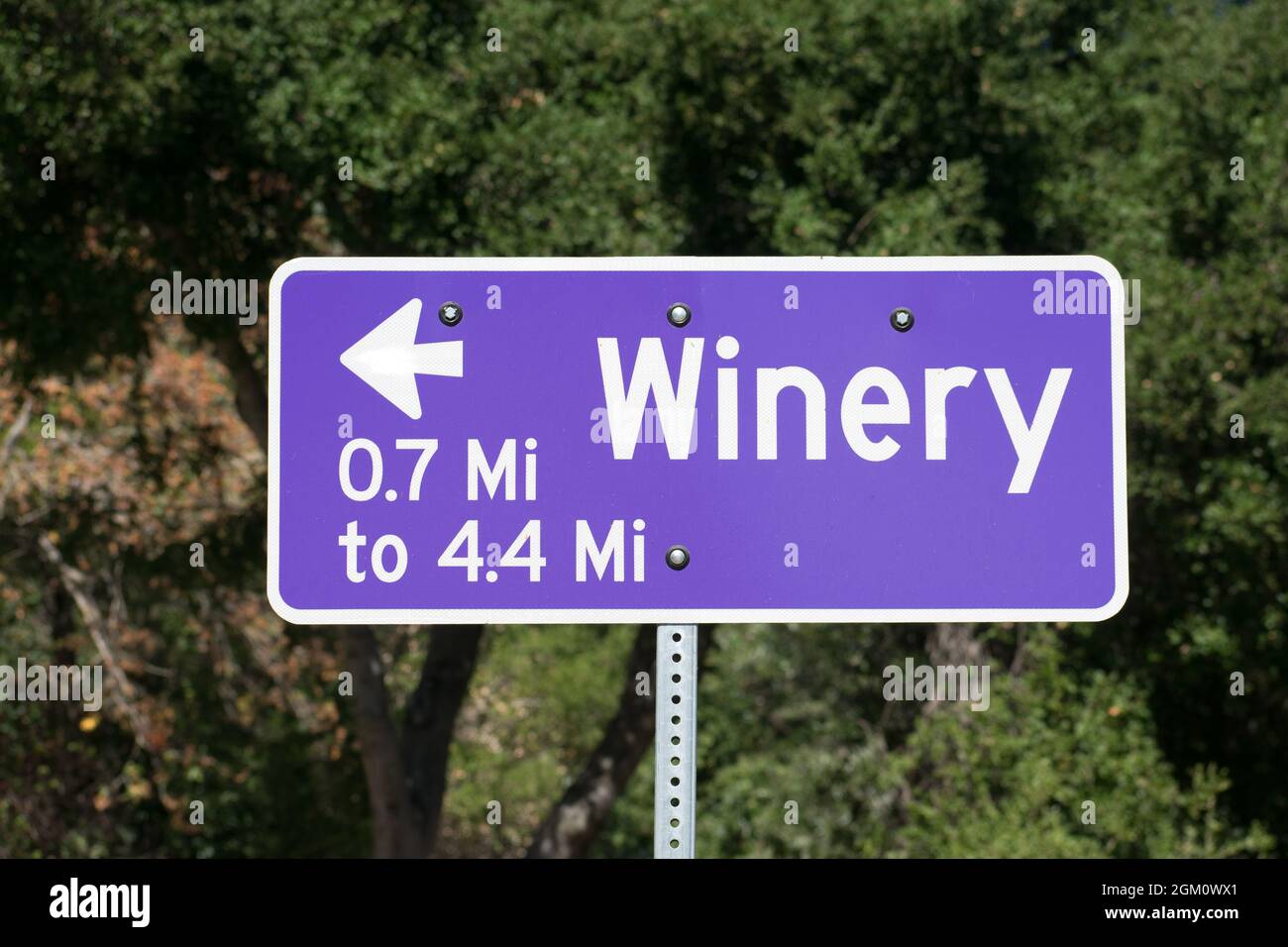Winery road sign with arrow and distance in miles directs visitors to nearby wineries. Stock Photo