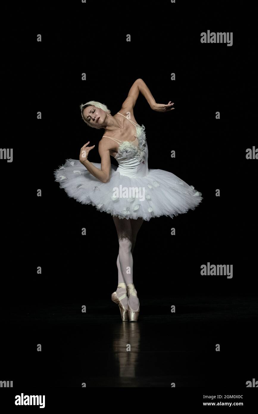 Uliana Lopatkina. Swan Lake. Photograph: Anne Deniau. | Swan lake, Ballet  poses, Ballet costumes