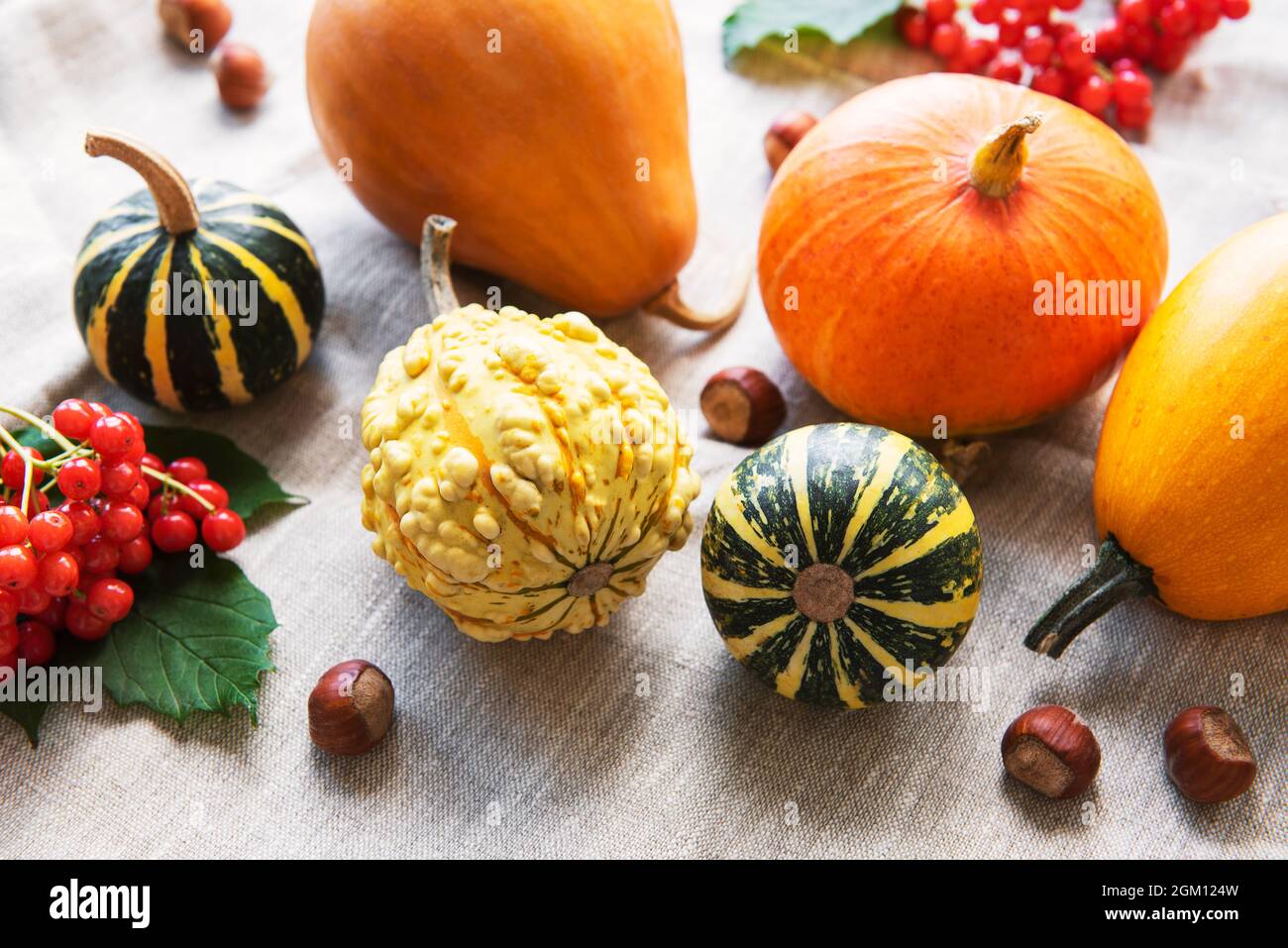 A rustic autumn still life with pumpkins on textile background Stock ...