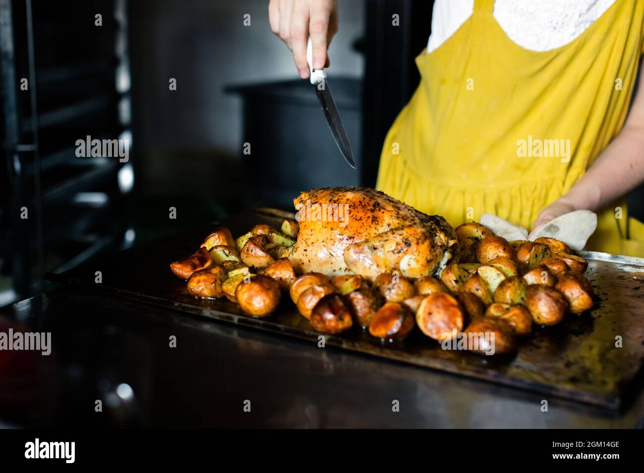 A woman cuts chicken with potatoes on a baking counter Stock Photo