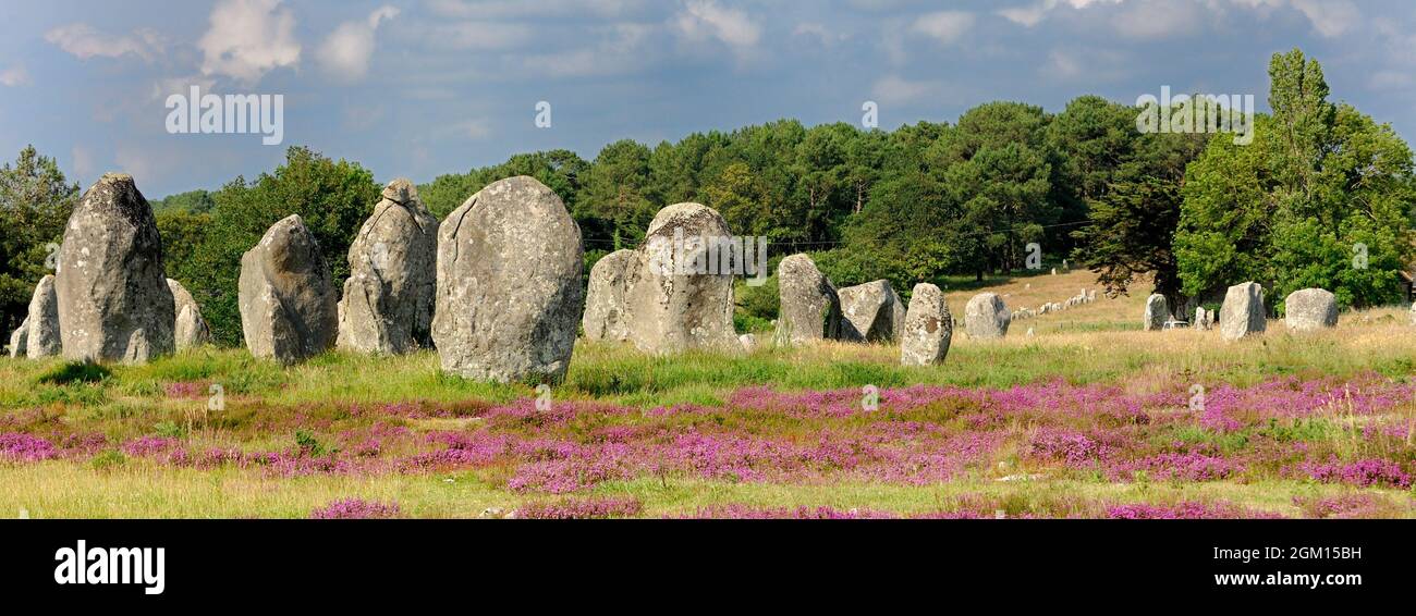 FRANCE. BRITTANY. MORBIHAN (56) CARNAC.MEGALITHIC SITE OF CARNAC.ALIGNMENTS OF KERMARIO. (PICTURE NOT AVAILABLE FOR CALENDAR OR POSTCARD) Stock Photo