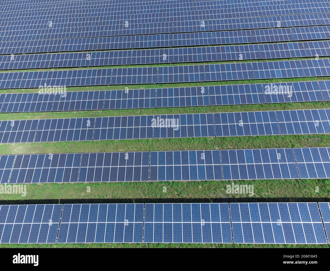 Solar panels top view. Background from the field of solar panels. Solar