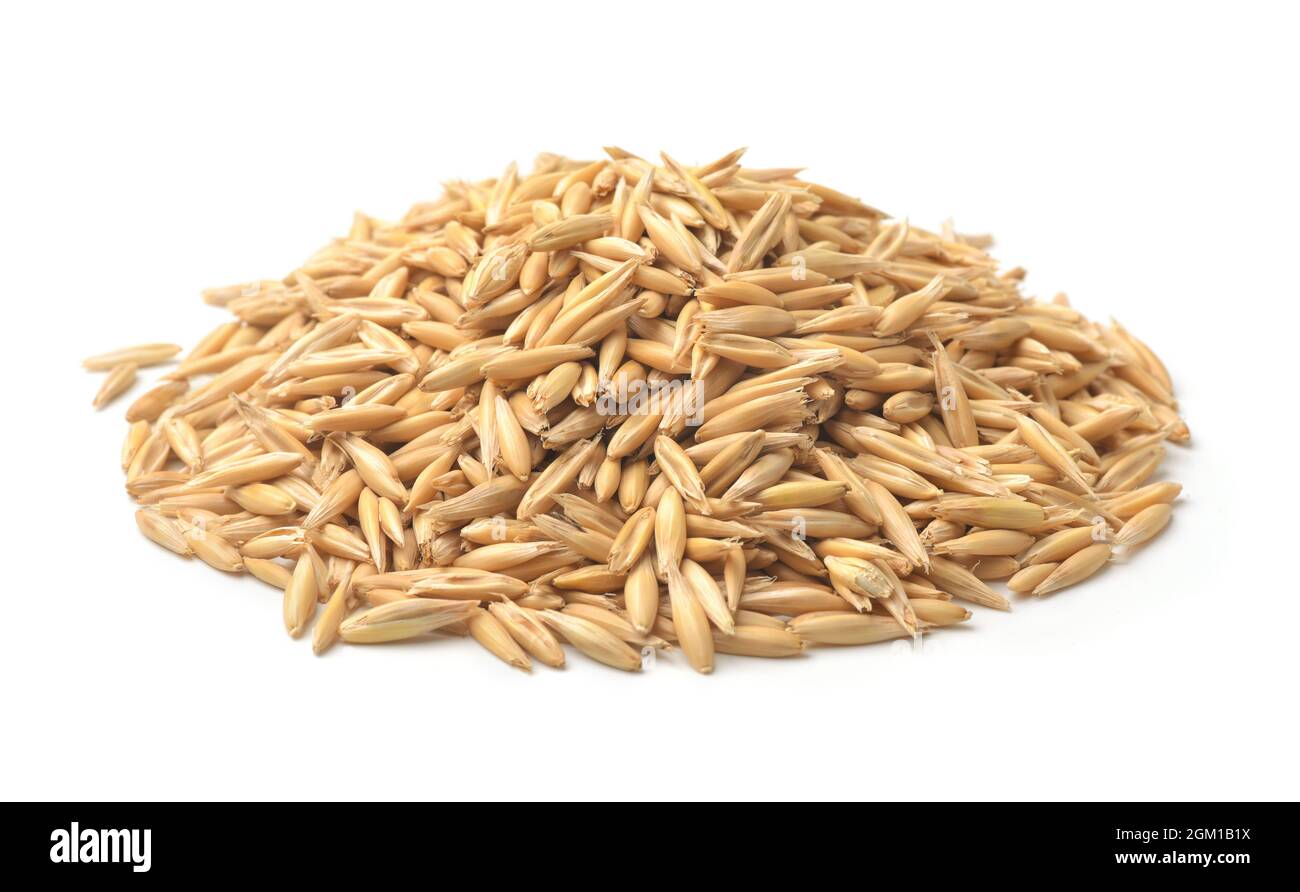 Pile of whole oats grains isolated on white Stock Photo