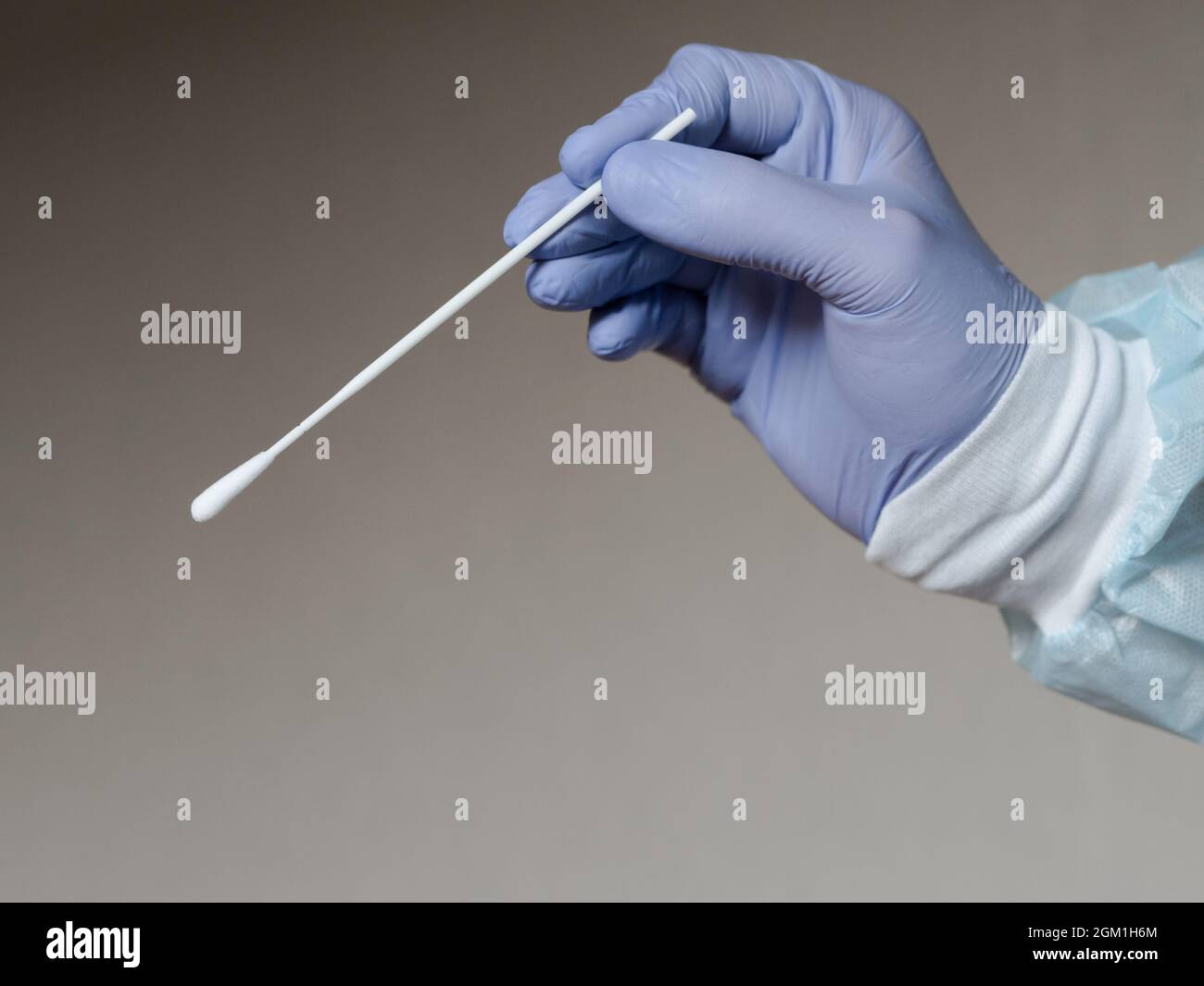 Hand Swab Sampling Hand in medical gloves holding an oral swab to collect sample for covid ...