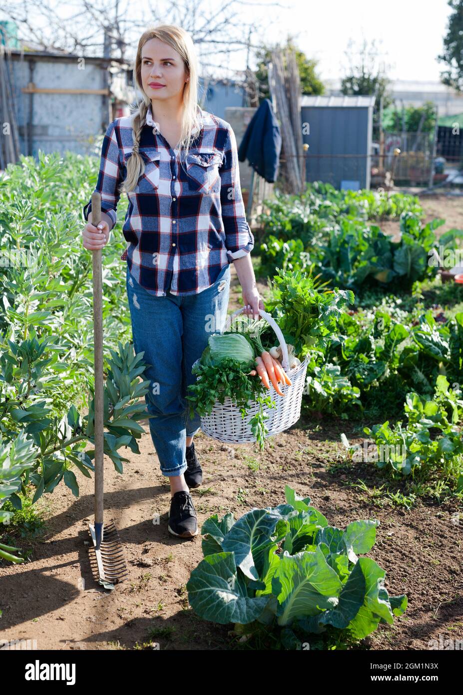 Young woman gardener holding harvest of vegetables and greens in basket ...