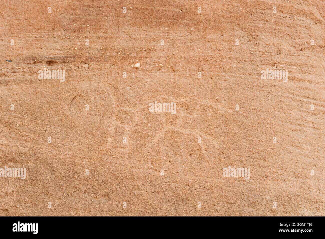 Ancient rock carvings petroglyphs in the desert near Medina in Saudi ...