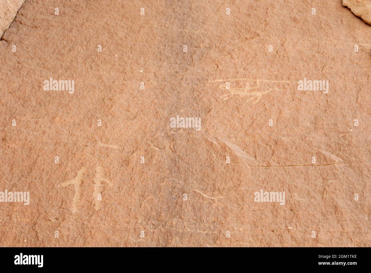 Ancient rock carvings petroglyphs in the desert near Medina in Saudi ...