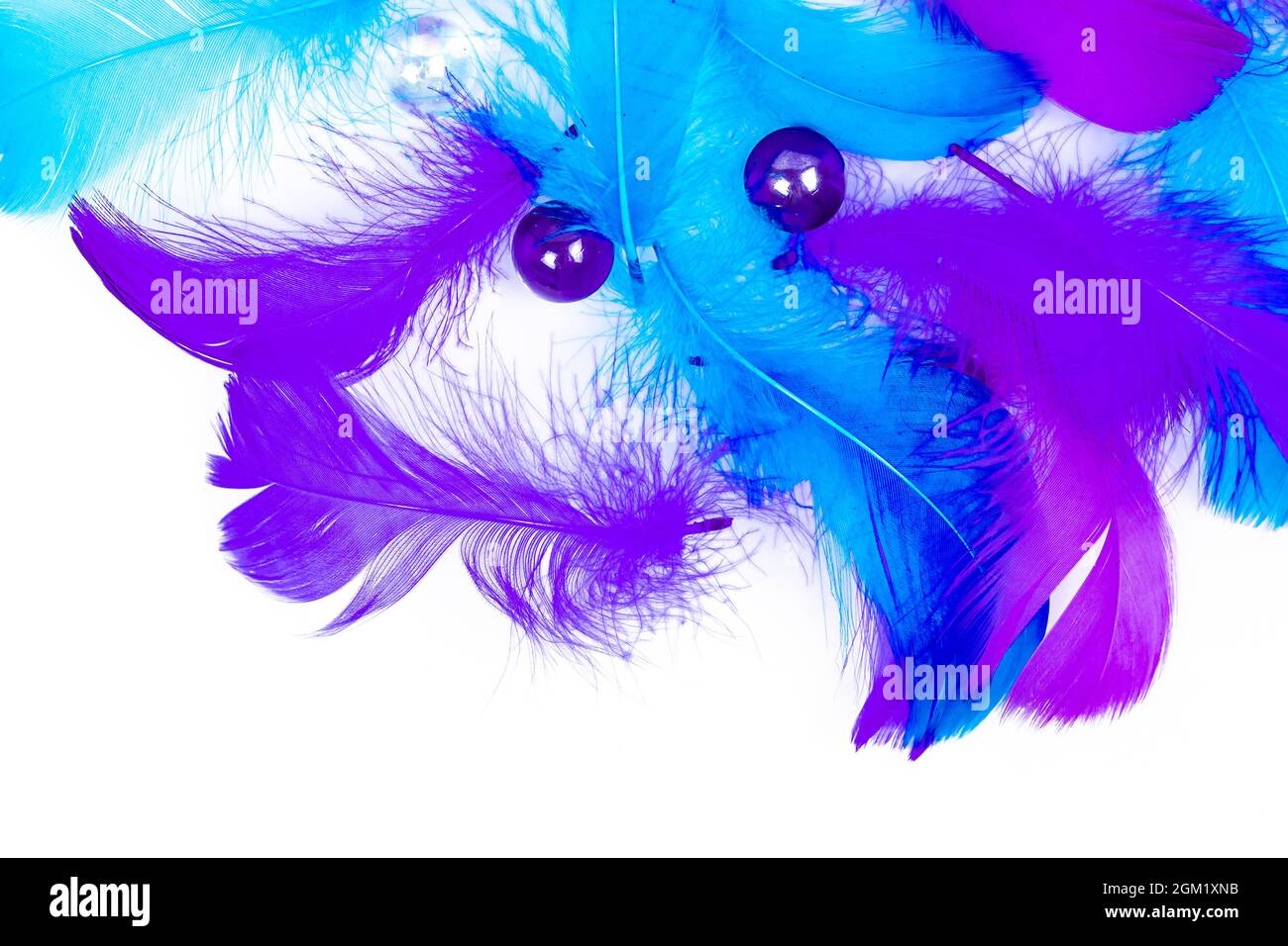 Feather background - small fluffy blue feathers randomly scattered on white table Stock Photo