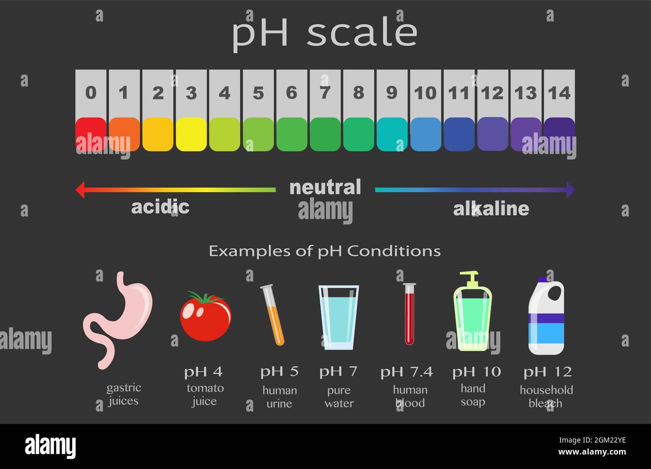 WHAT IS AN ACID DEFINITION EXAMPLES AND PH SCALE Standards Full Profile