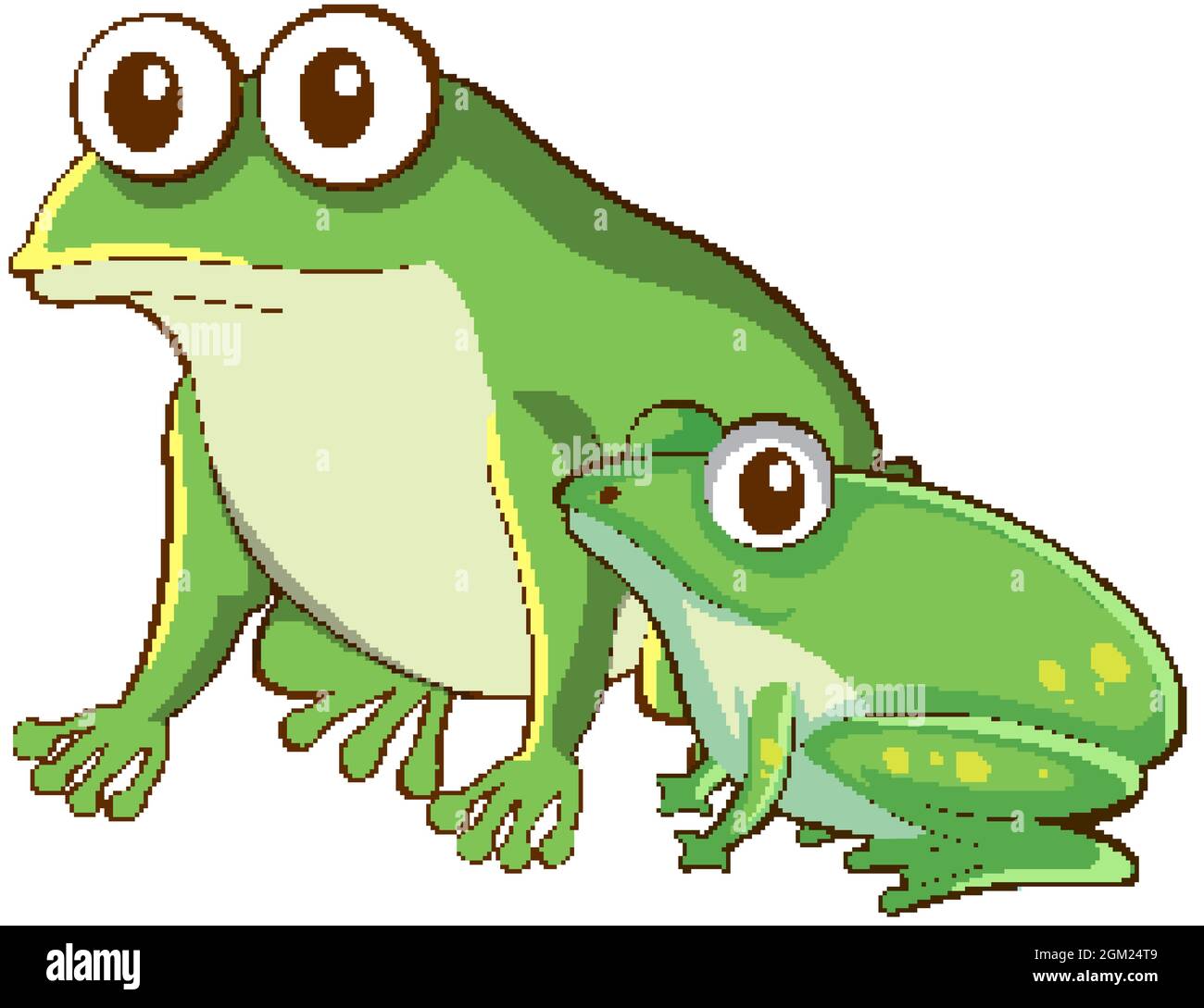 Mother and baby frog cartoon on white background illustration Stock Vector  Image & Art - Alamy