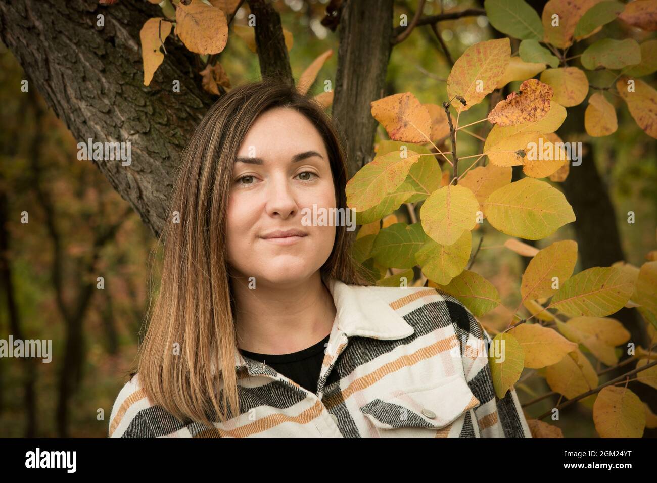 Fall. Portrait of a young beautiful woman in a yellow autumn forest ...