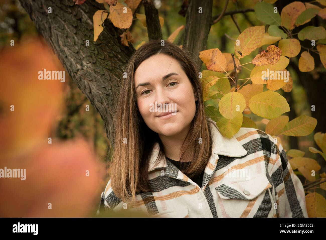 Fall. Portrait of a young beautiful woman in a yellow autumn forest ...