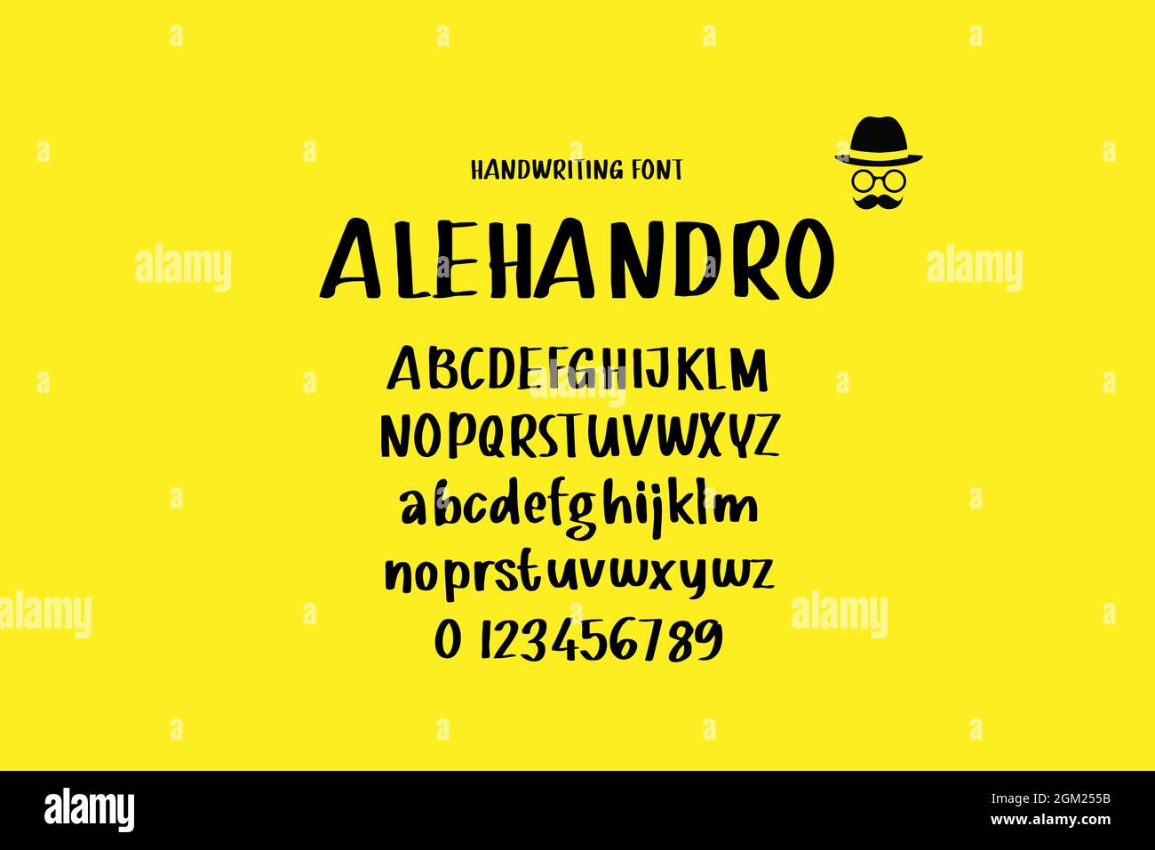 Vintage decorative font with label design and background pattern Stock Vector