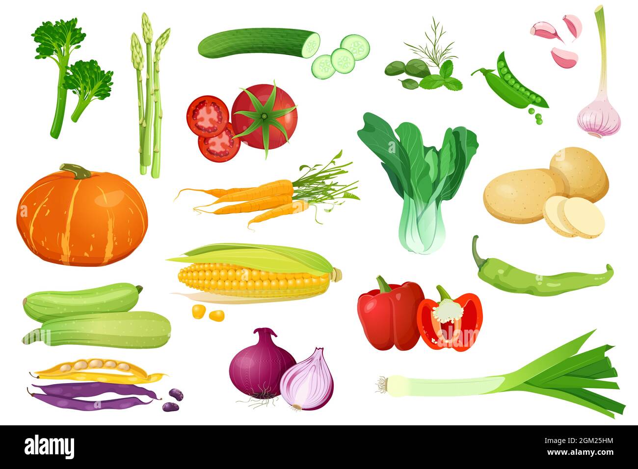 Set of different vegetables for healthy food Stock Vector Image & Art ...