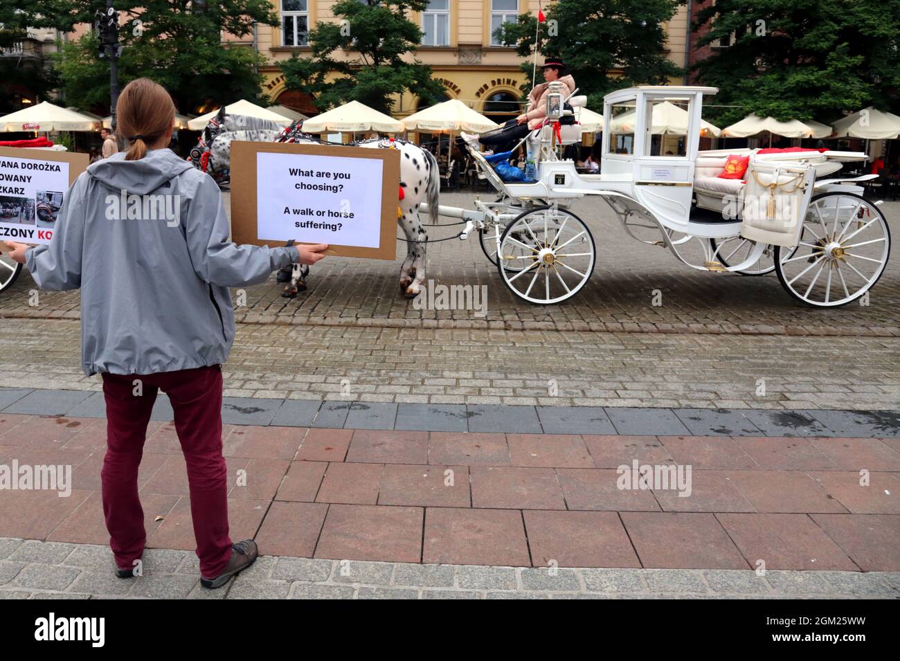 Cracow. Krakow. Poland. Animal rights activists protest at the cab stand at Main Market Place against exploitation of carriage drawning horses Stock Photo