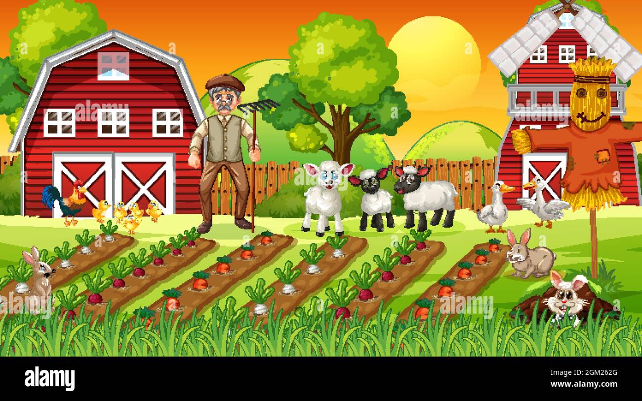 Farm scene at sunset with old farmer man and cute animals illustration ...