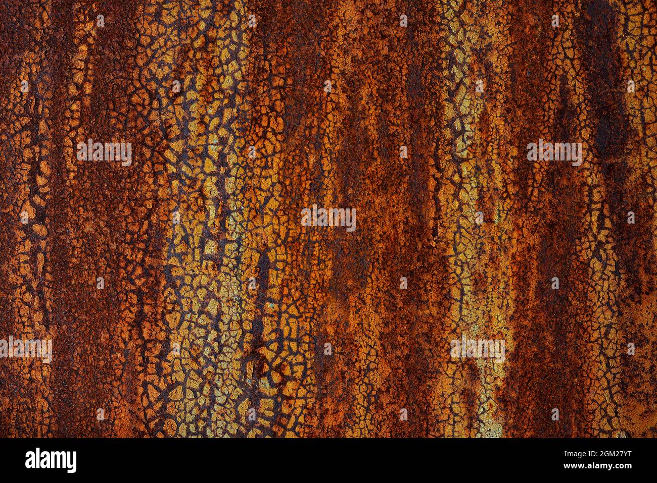Old rusty metal door, painted blue which orange from rust. Texture of cracks and peels