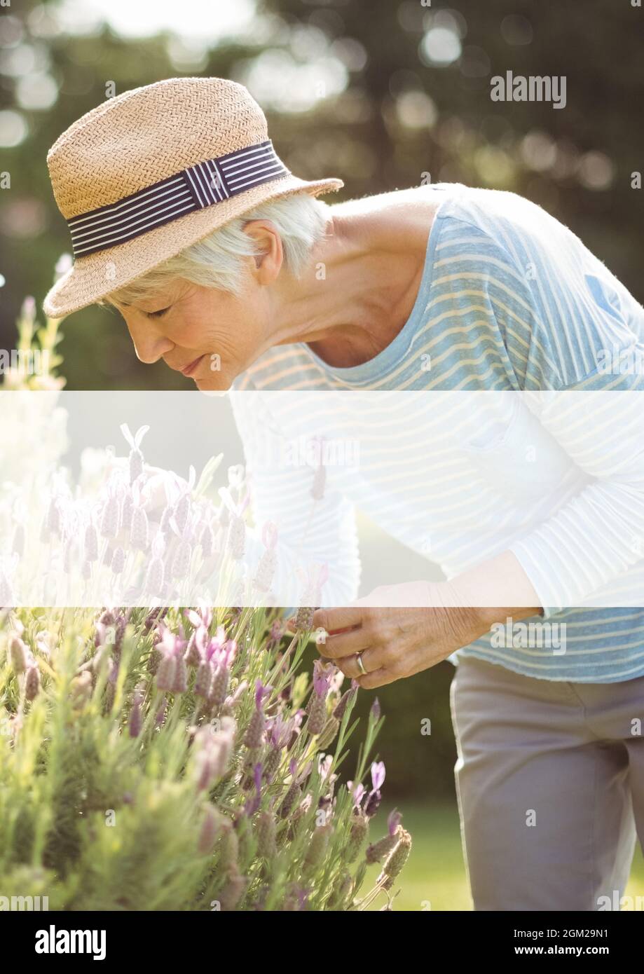 White banner with copy space against senior caucasian woman smelling flowers in the garden Stock Photo
