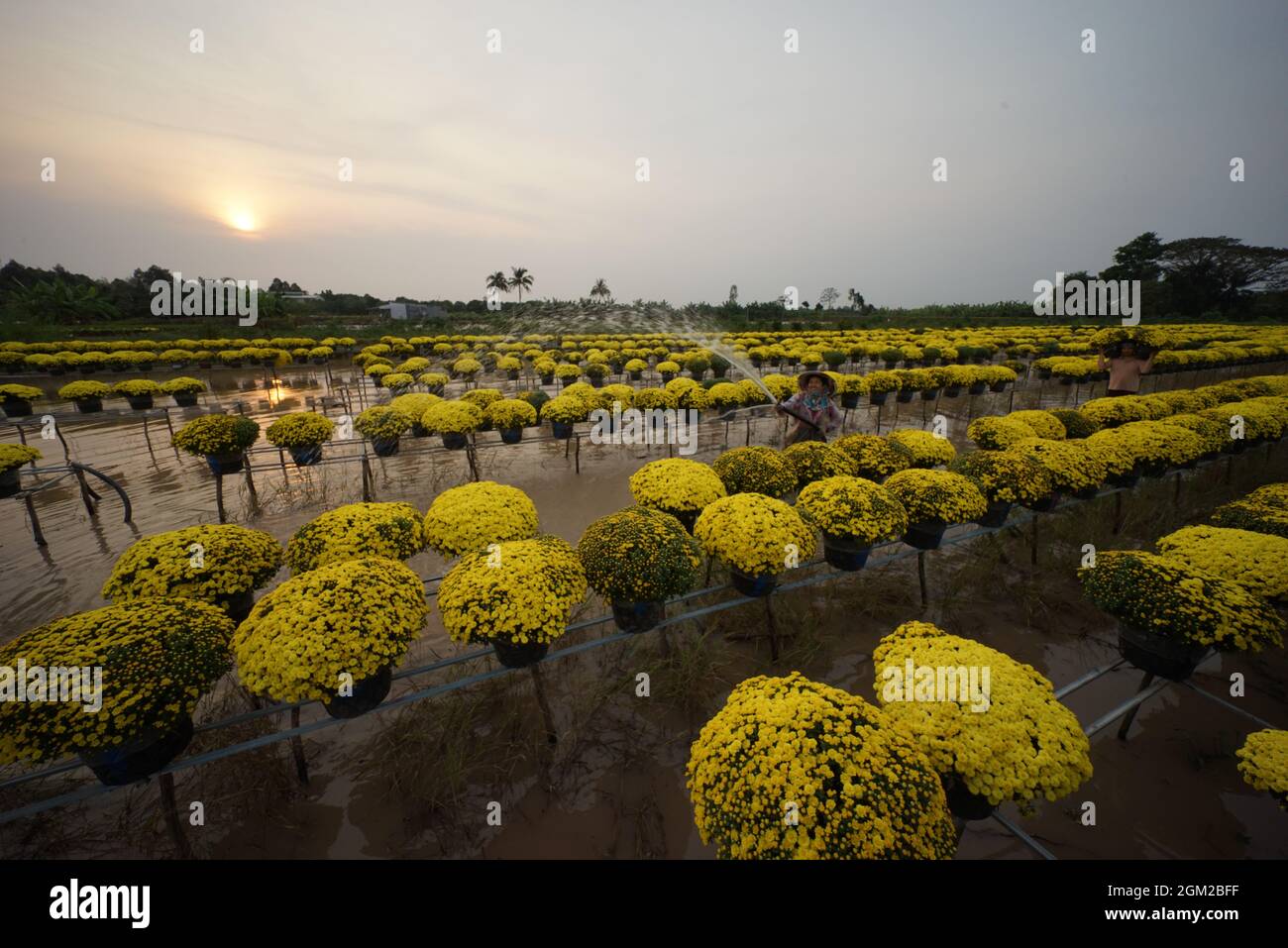 Sa Dec flower village in Dong Thap province southern Vietnam Stock Photo