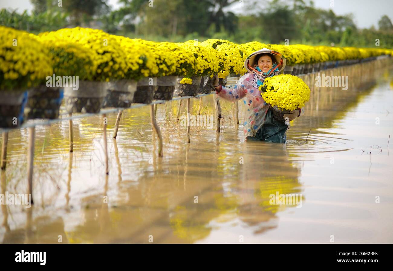 Sa Dec flower village in Dong Thap province southern Vietnam Stock Photo