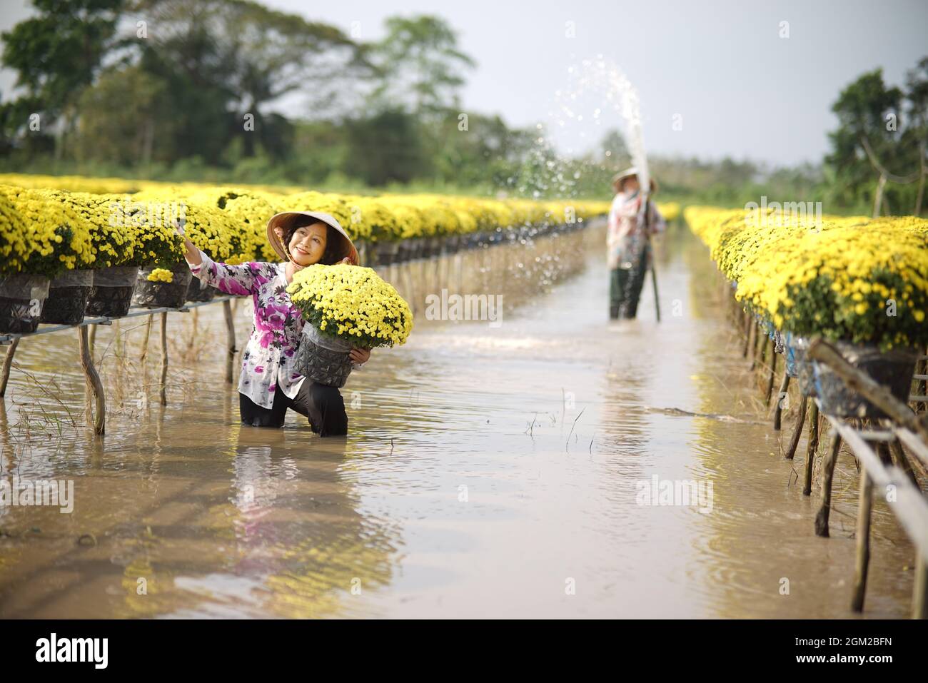 Sa Dec flower village in Dong Thap province southern Vietnam Stock Photo