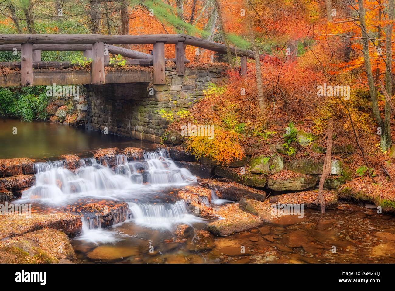 Just Water Under The Bridge - Fall foliage leaves cover the grounds surrounding this  cascade and wodden bridge at Hickory Run State Park in Pennsylva Stock Photo
