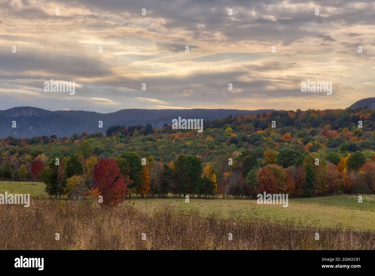 Paltz Point Shawangunk Mountains A view from the east during the fall foliage splendor colors
