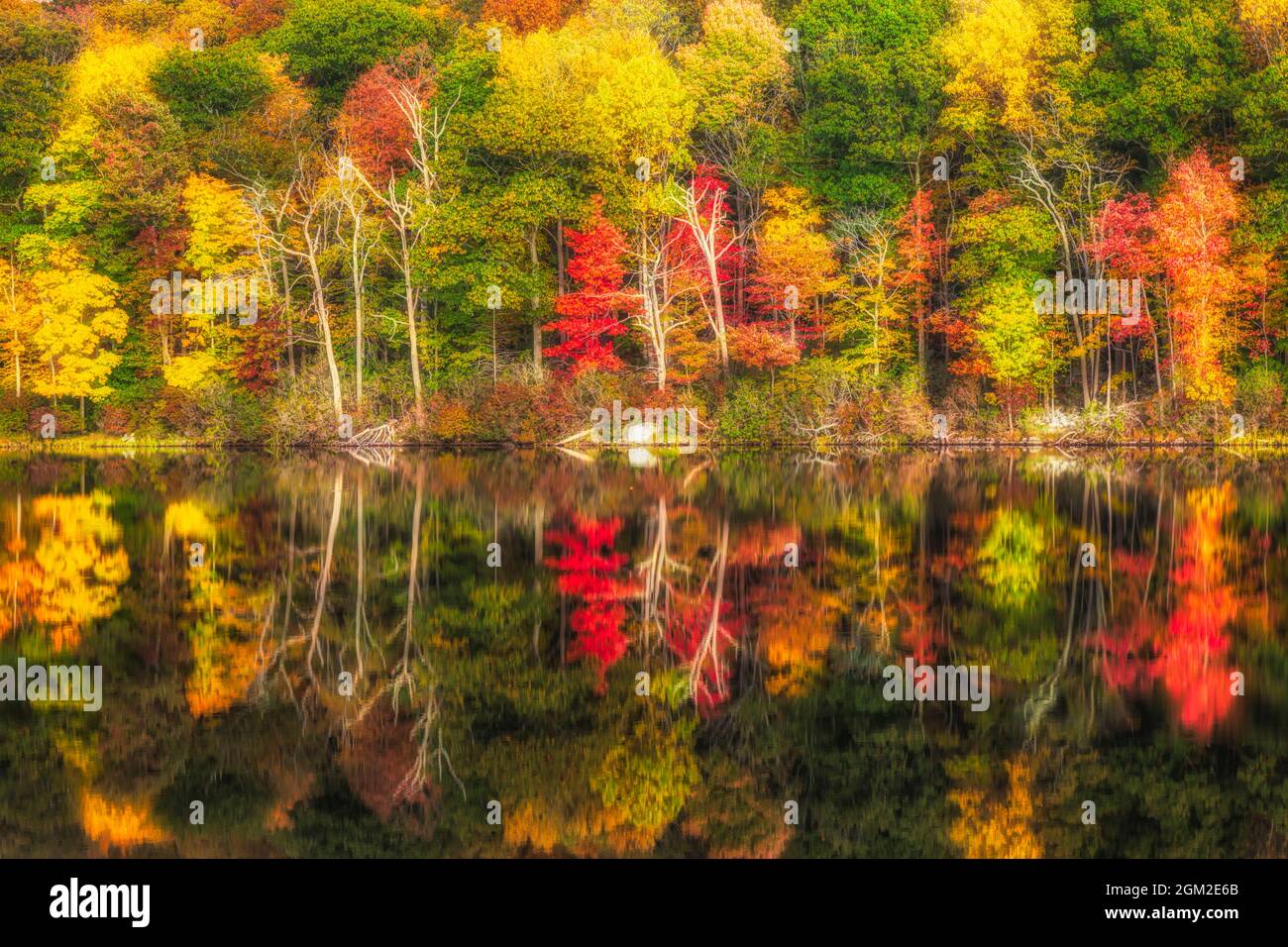 Natures Fall Color Palette  - View to the magnificent colors of fall foliage and reflections on the calm waters on Lake Skannatat at Harriman State Pa Stock Photo