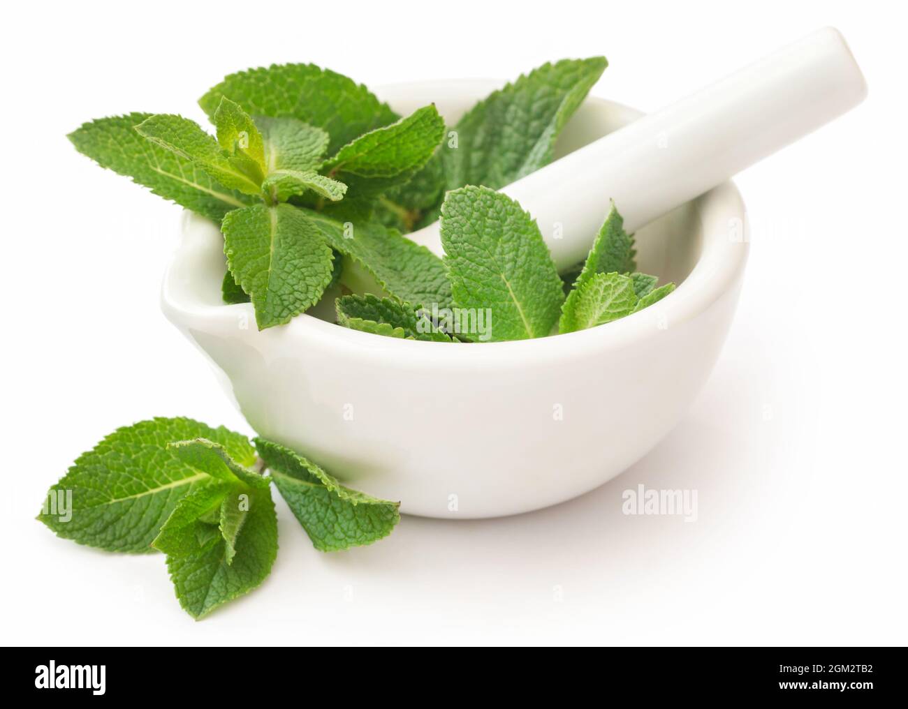 Mint leaves in a mortar with pestle Stock Photo
