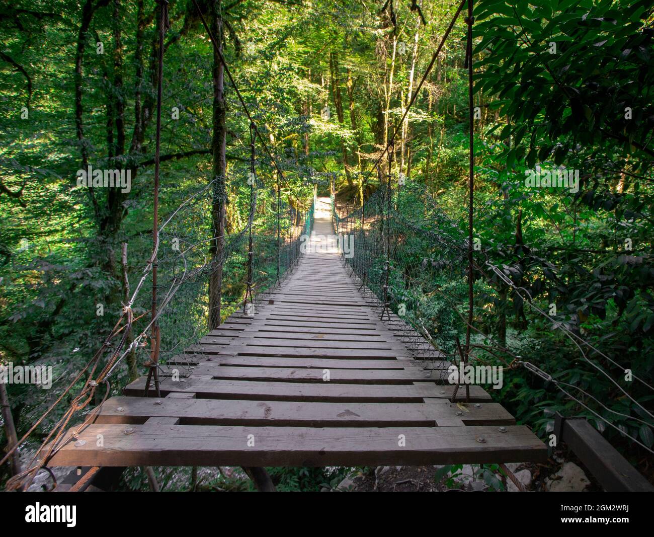 wooden suspension bridge in the forest, jungle Stock Photo Alamy