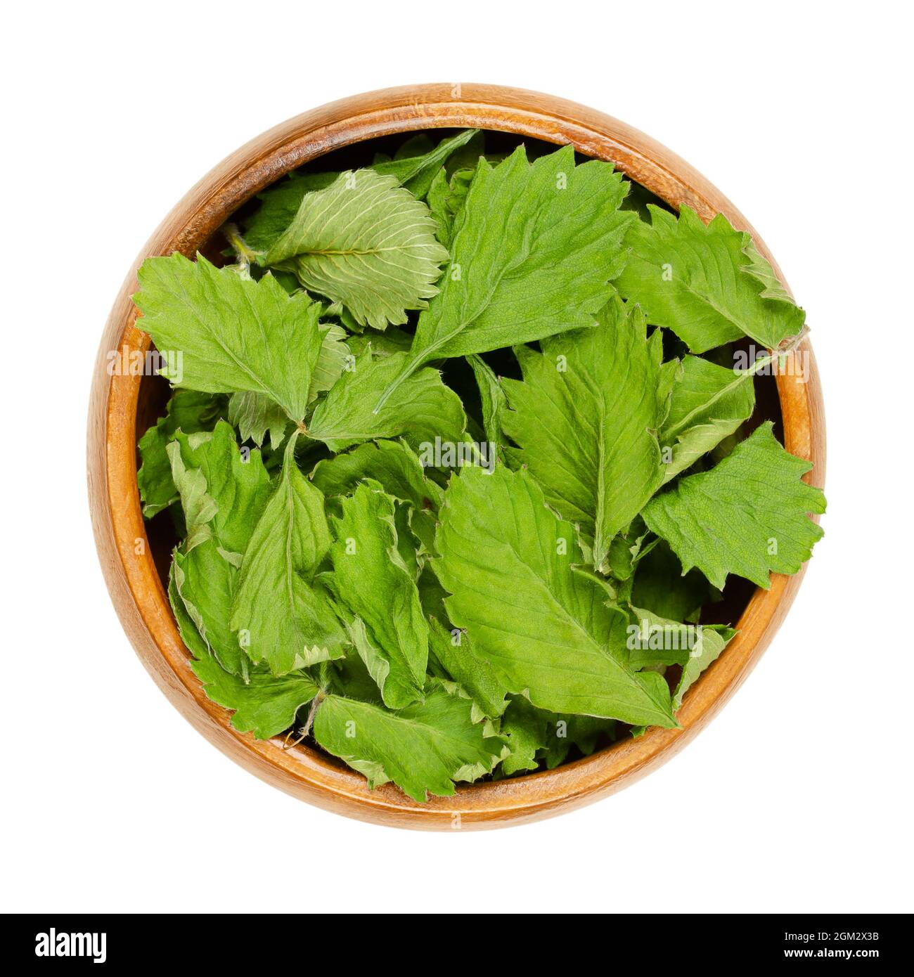 Dried wild strawberry leaves, in a wooden bowl. Leaves of Fragaria vesca, also known as European, woodland, Alpine or Carpathian strawberry. Stock Photo