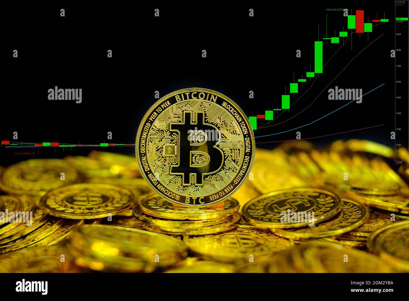 Golden bitcoin cryptocurrency on stack gold coin at trading chart