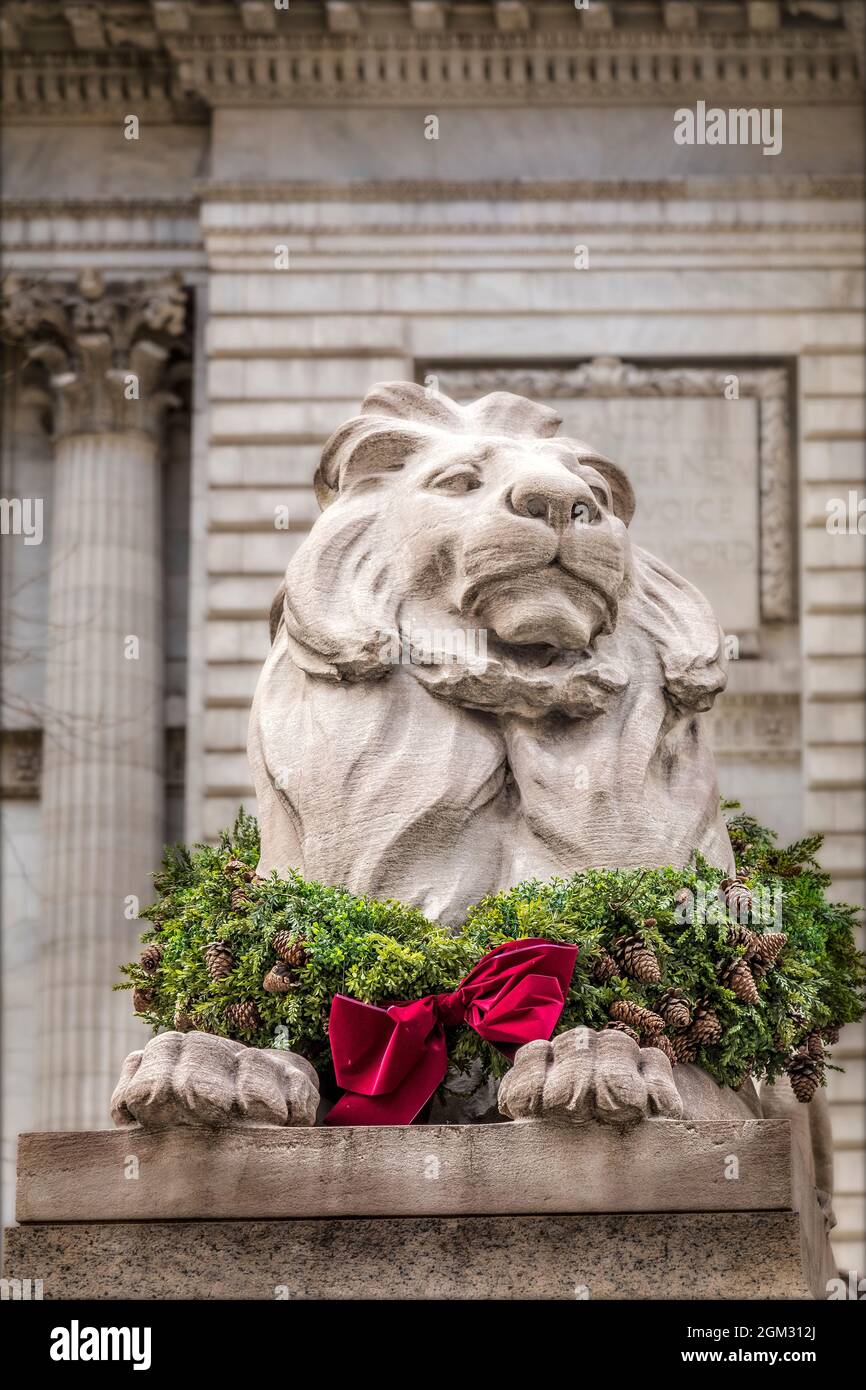Patience Lion NYPL BW Patience, one of the lions statues in front of