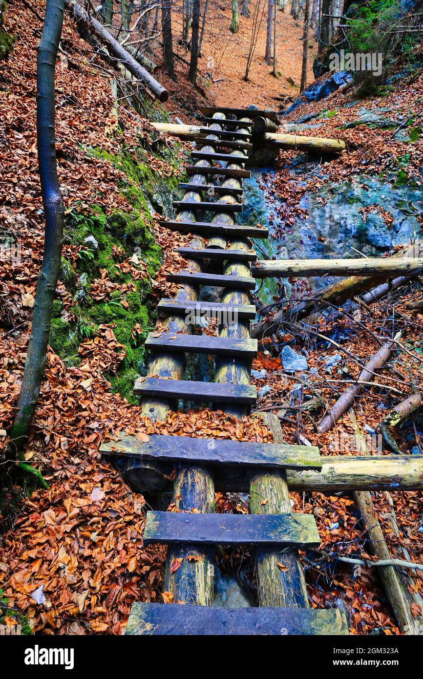 wooden steps in gorge in mountain forest. Take it in Slovakia Tatra mountains Stock Photo