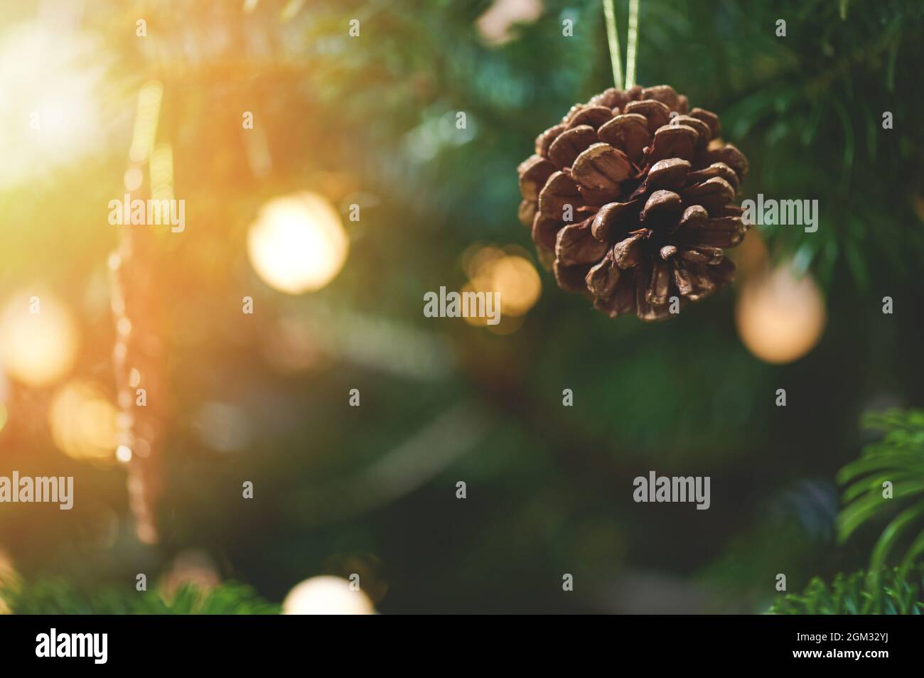 Golden color pine cone on blurred green Christmas background Stock Photo