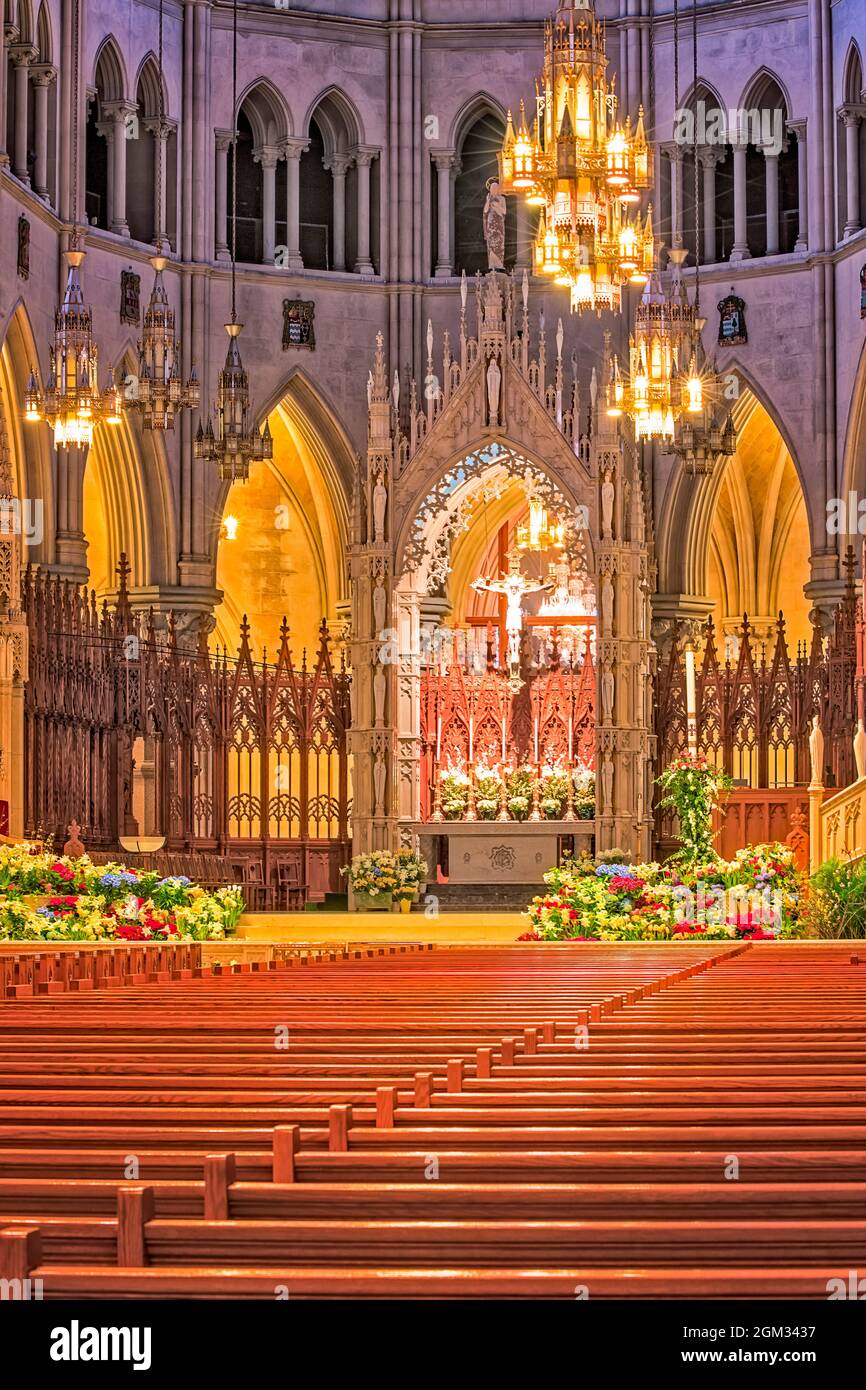 Cathedral Basilica Of The Sacred Heart Newark NJ - View to the French Gothic Revival architecture style altar from the rear of the Roman Catholic chur Stock Photo