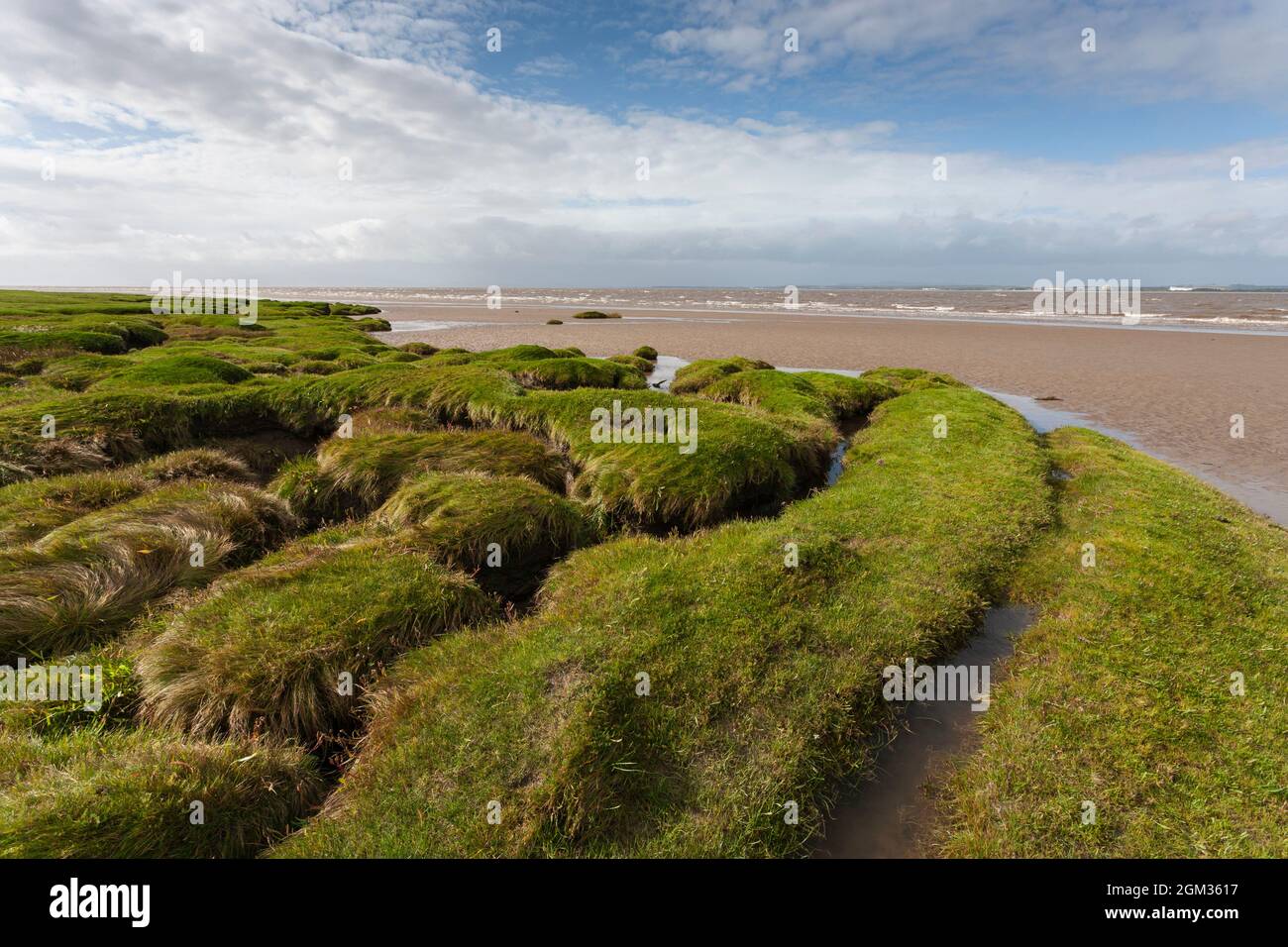 Campfield Marsh RSPB reserve, Solway Firth, Cumbria Stock Photo