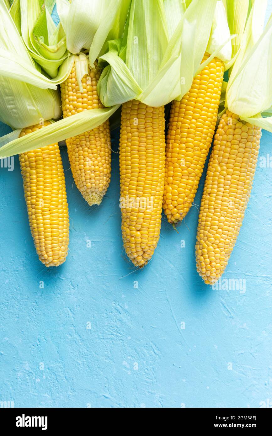 Whole Corncobs or Corn Ears. Top Down View. Stock Photo