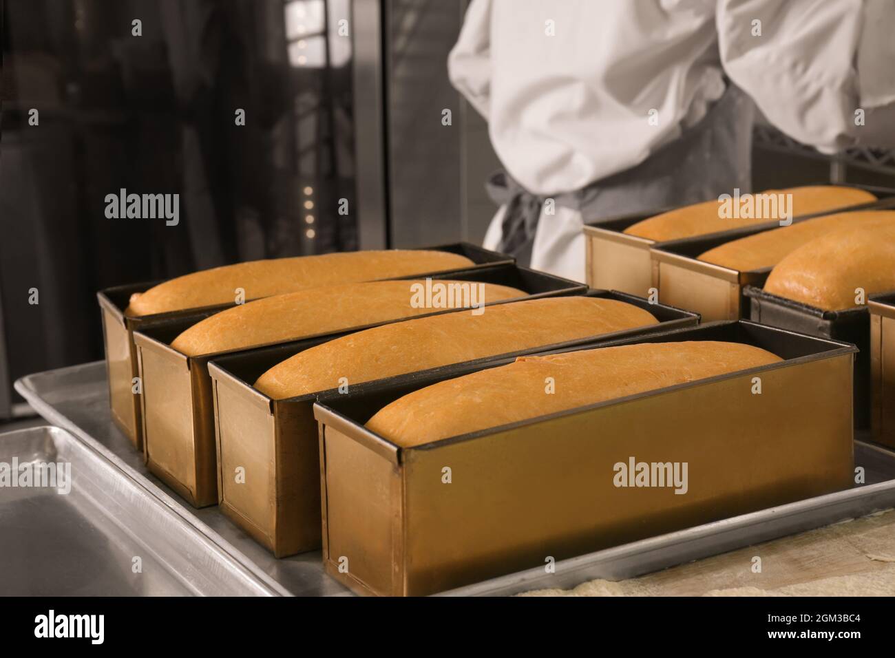 Loaf tins with fresh bread in bakery Stock Photo Alamy