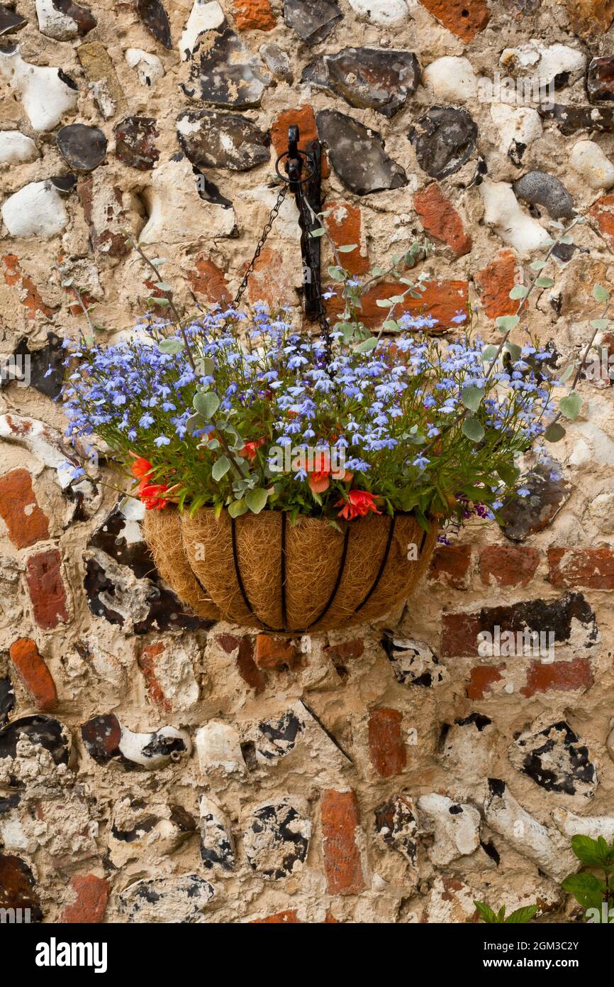 Begonia hanging basket orange hi-res stock photography and images - Alamy