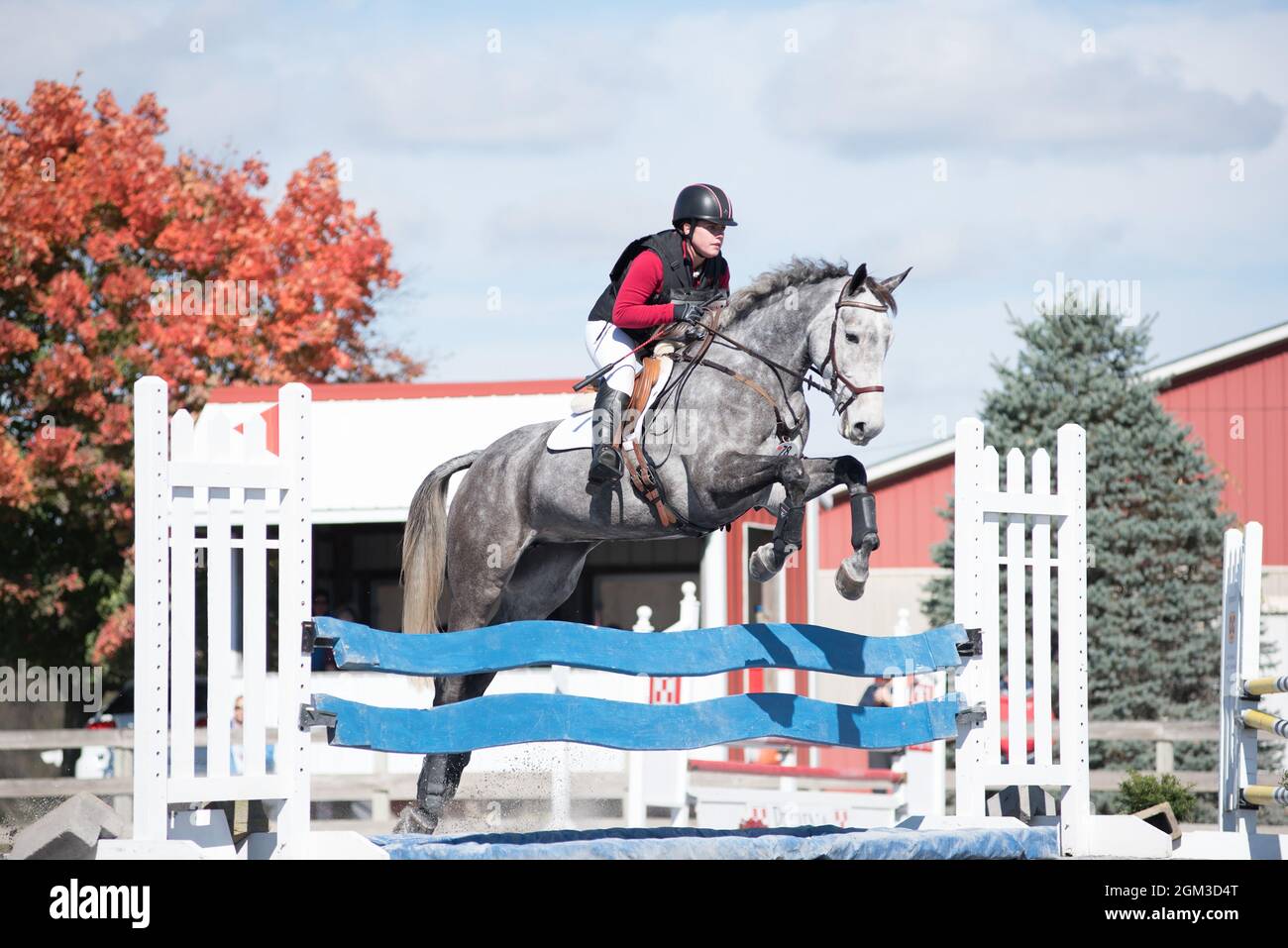 Equestrian competition photos including hunter jumper and cross country