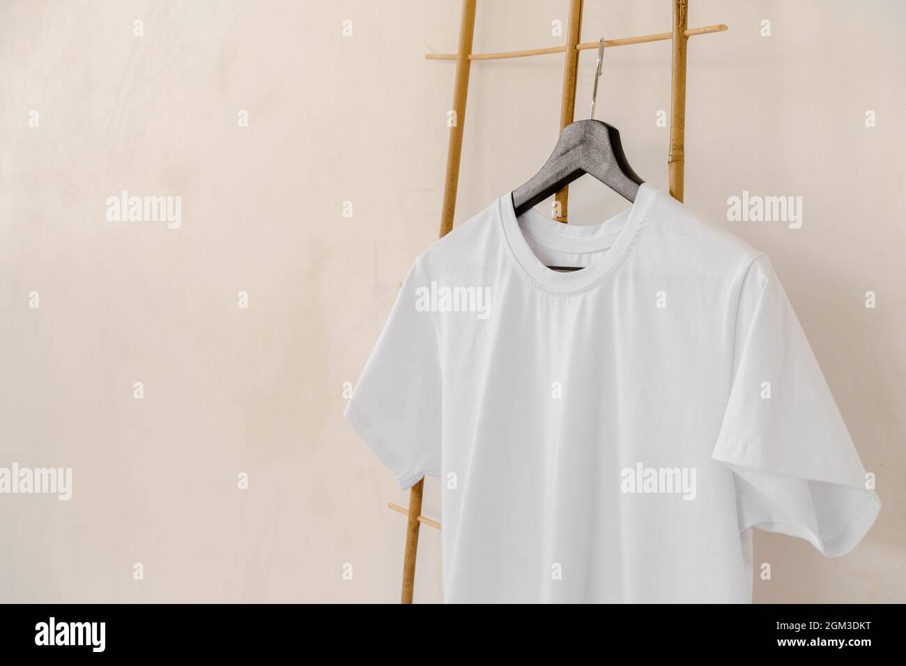 Plain white cotton t-shirt on hanger for your design Stock Photo