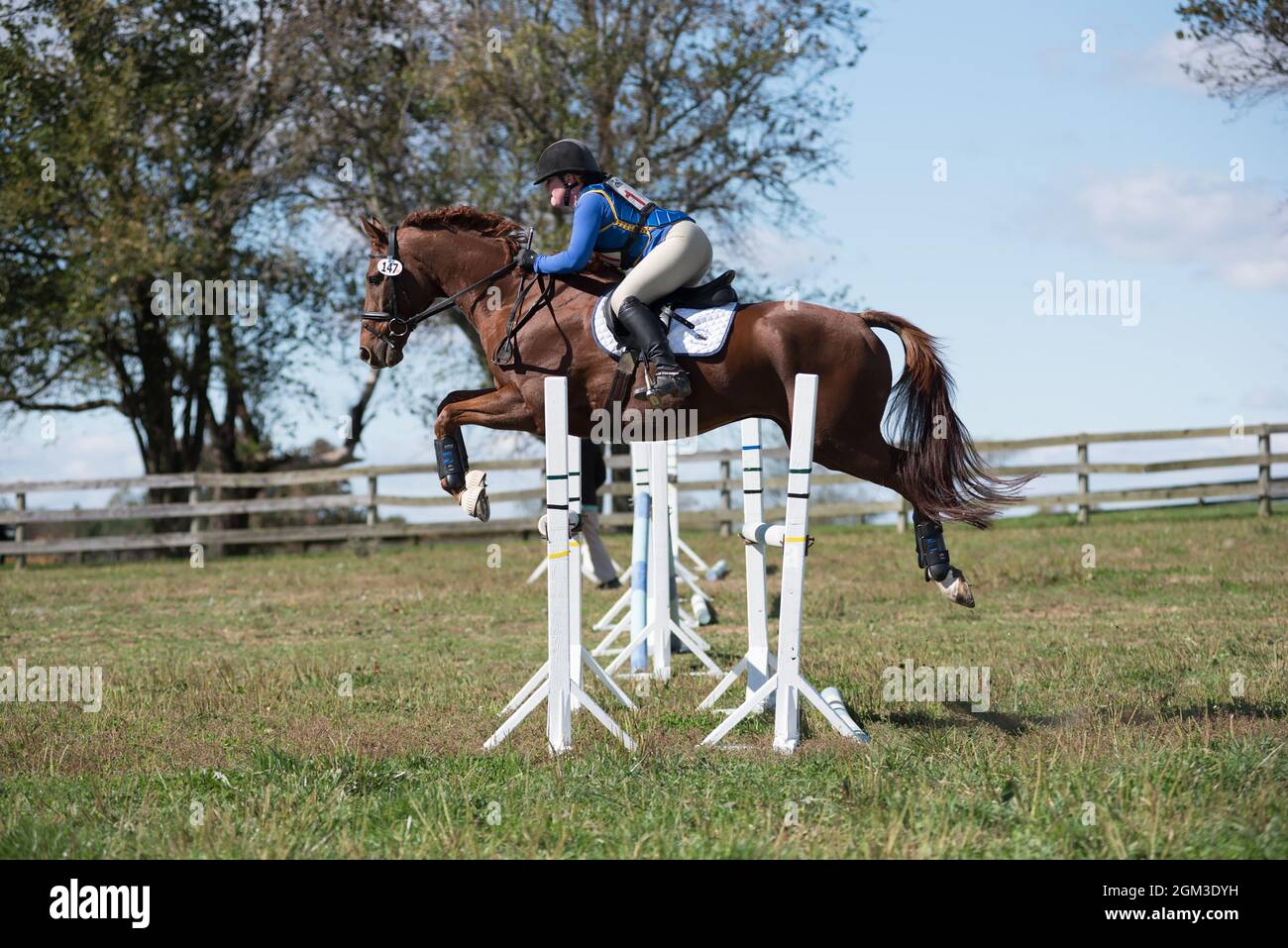 Equestrian competition photos including hunter jumper and cross country