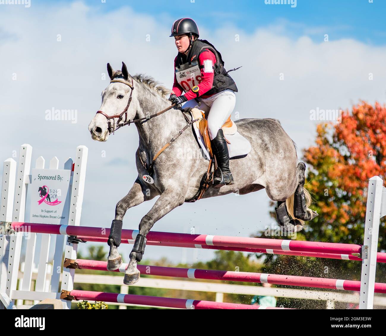 Equestrian competition photos including hunter jumper and cross country horse riders Stock Photo