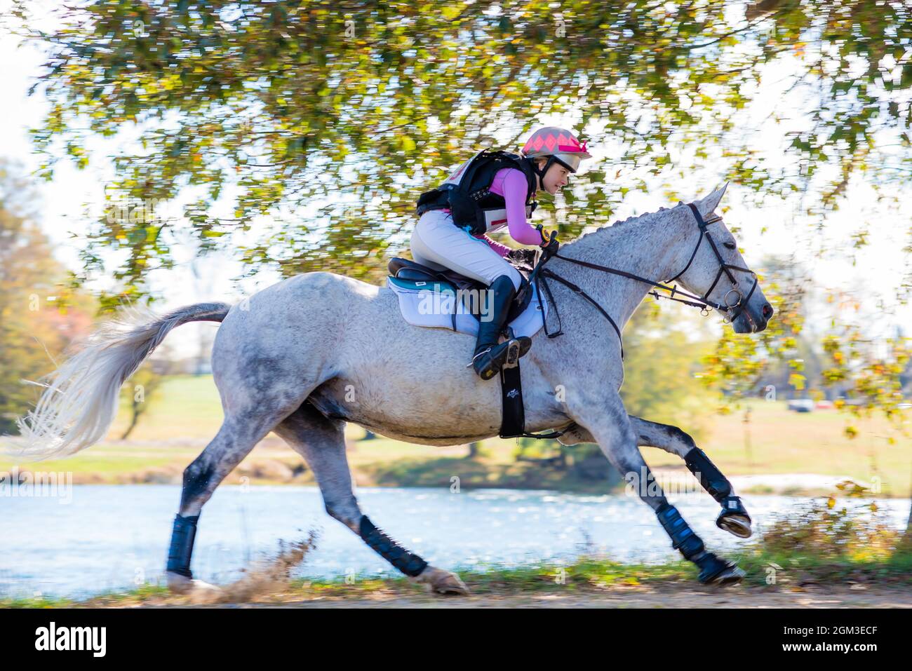 Equestrian competition photos including hunter jumper and cross country