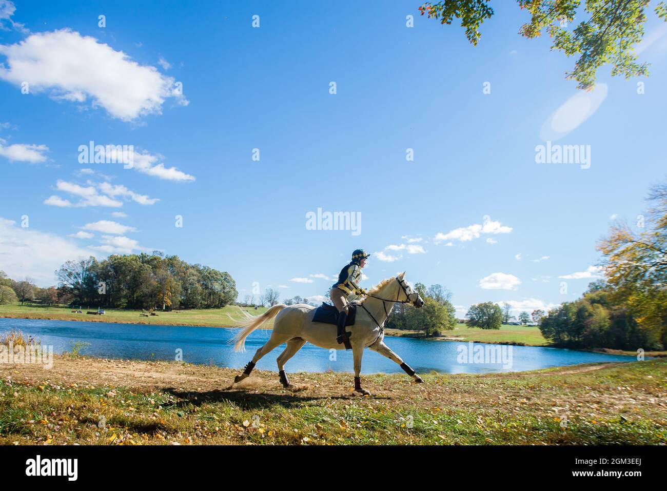 Equestrian competition photos including cross country horse riders