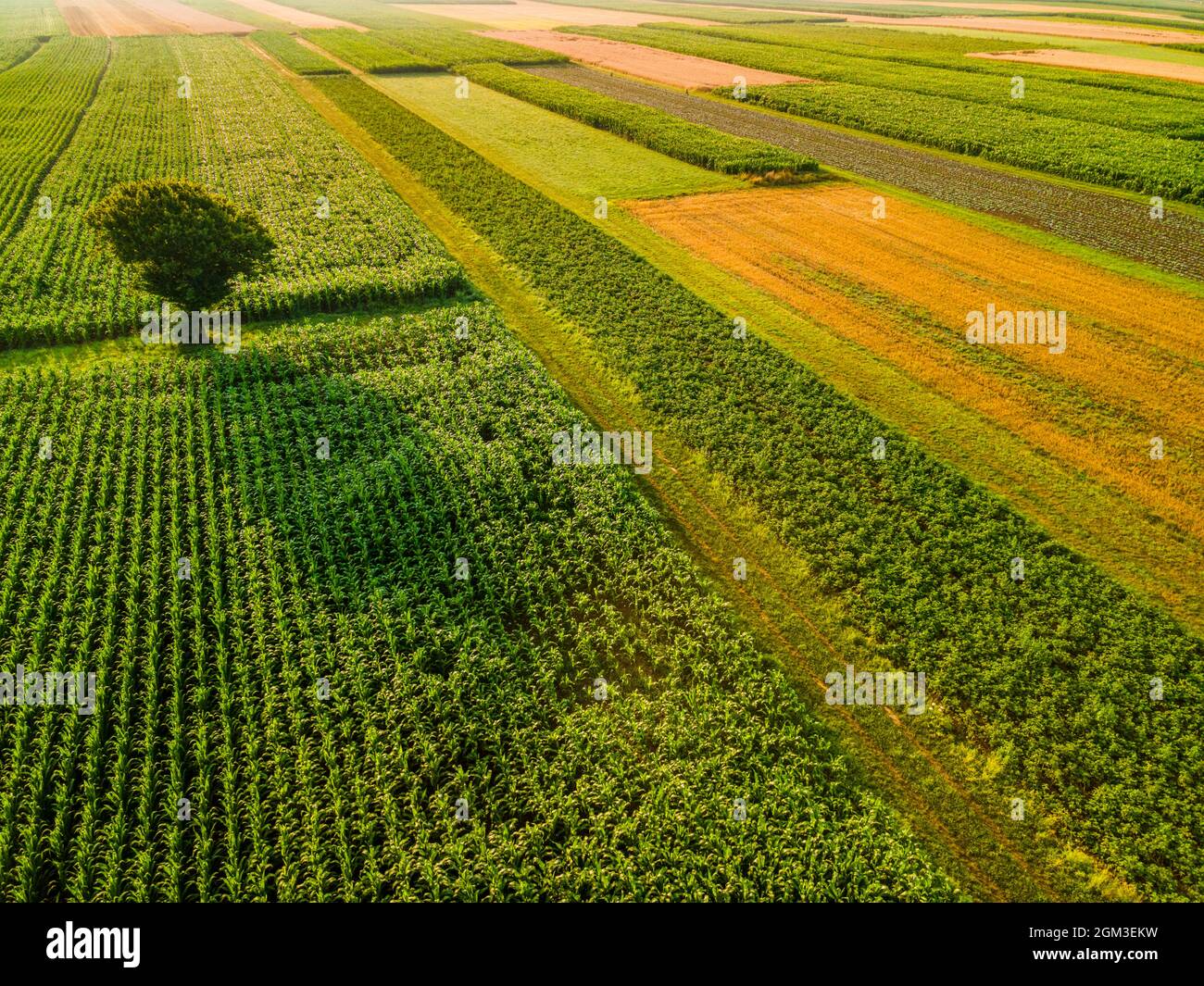 Aerial pictures rural fields hi-res stock photography and images - Alamy